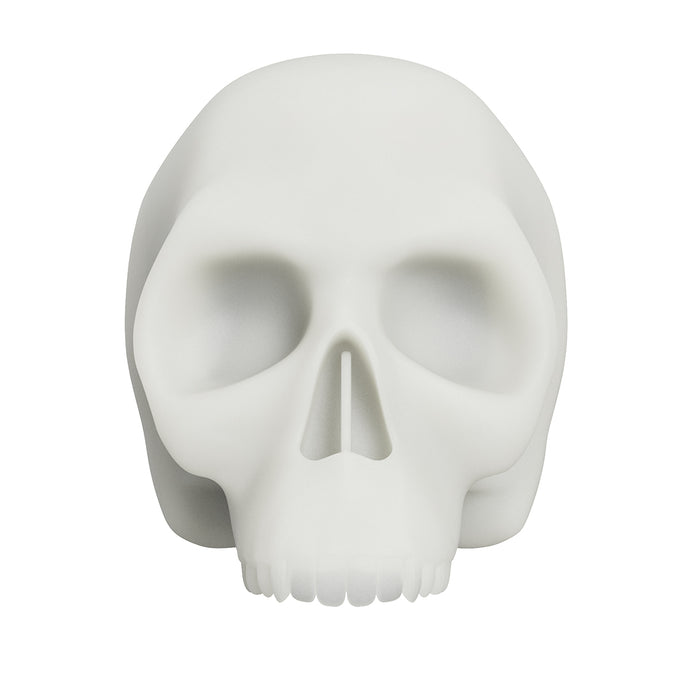 Dragonhawk Tattoo Blank Practice Skin Skull Tattoo Silicone - Dragonhawktattoos